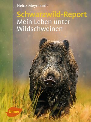 cover image of Schwarzwild-Report